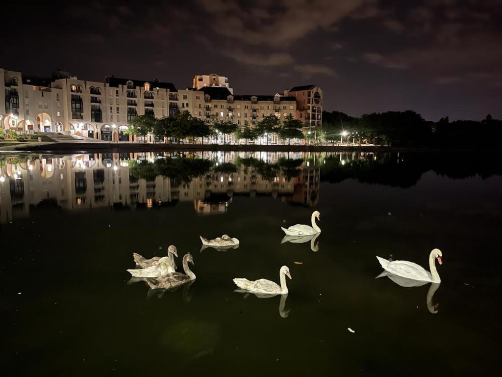 Vue Exceptionnelle Sur Le Lac Créteil Exteriér fotografie