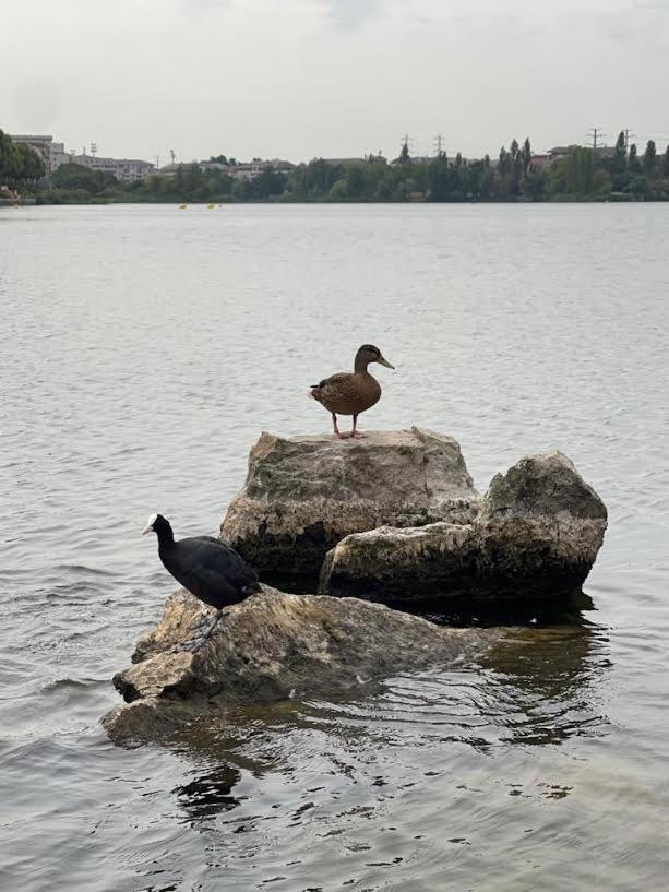 Vue Exceptionnelle Sur Le Lac Créteil Exteriér fotografie